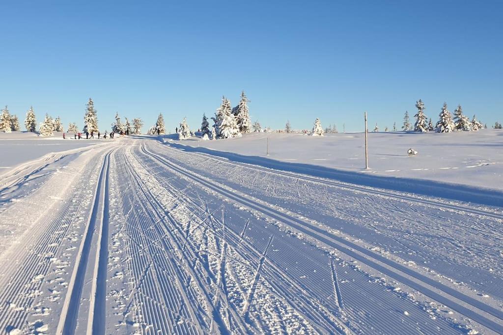 Beautiful Penthouse With Panoramic View At Sjusjoen Lägenhet Exteriör bild